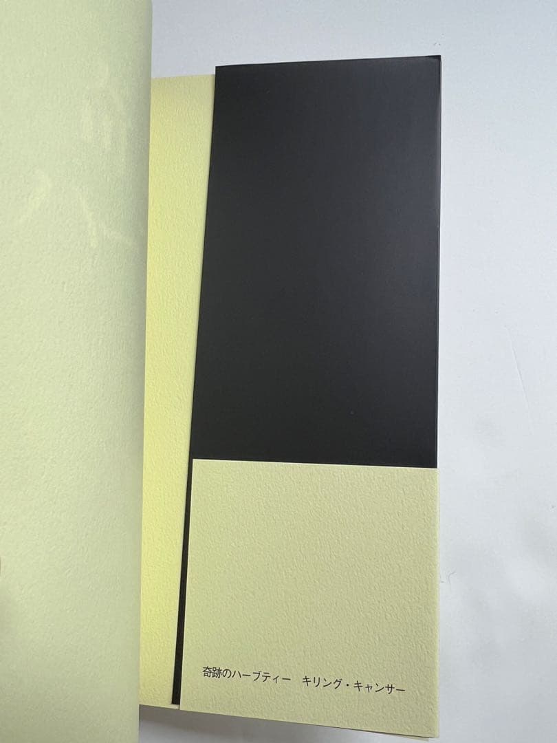 新品未使用　超上級美品　奇跡のハーブティー　本　ジェイソンウィンターズティー