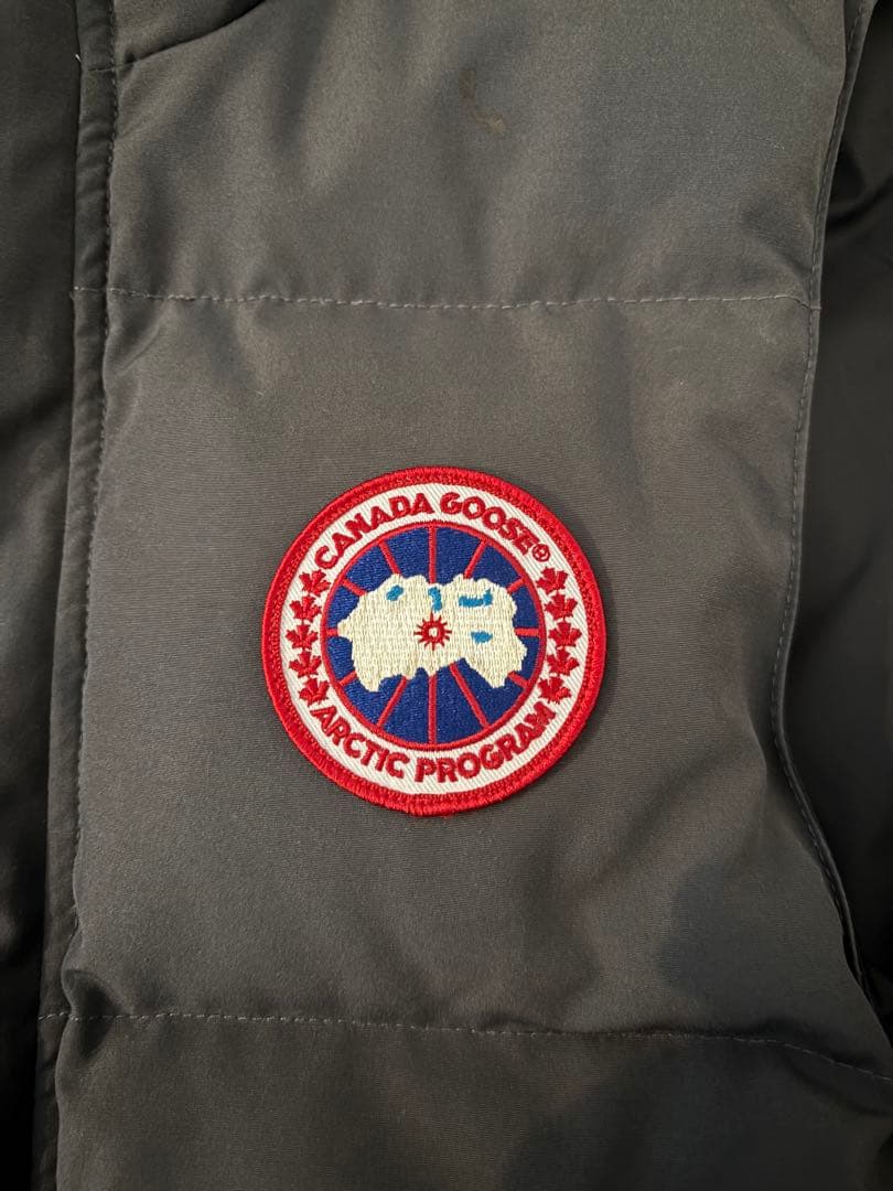   ARCTIC PROGRAM ダウンベスト S/P