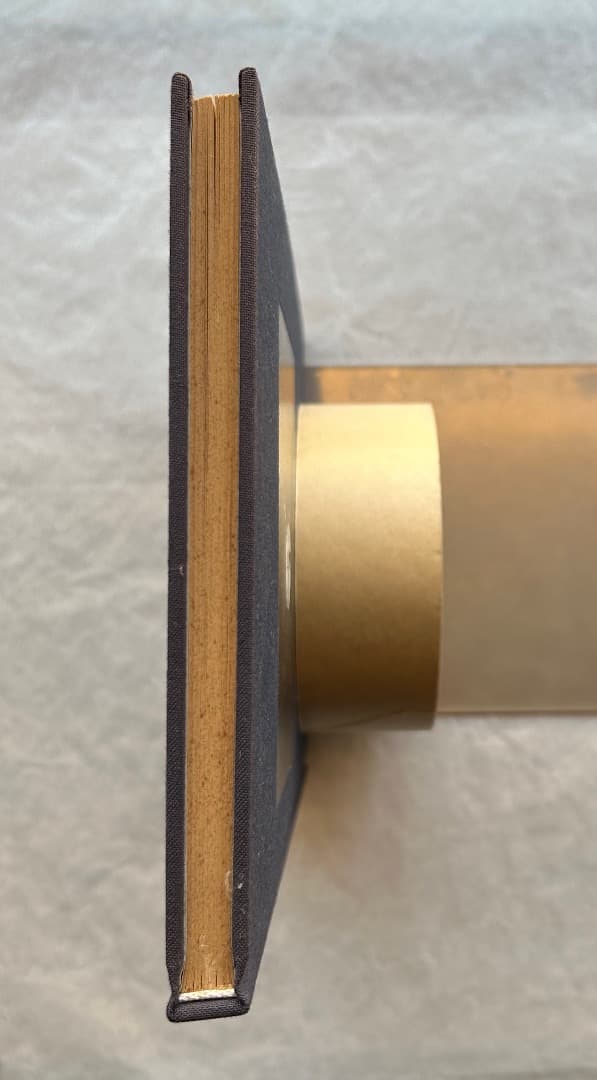 洋書）Gordon Matta-Clark: The Space Between