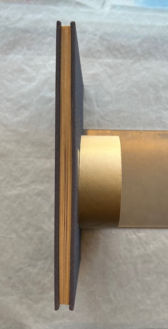 洋書）Gordon Matta-Clark: The Space Between