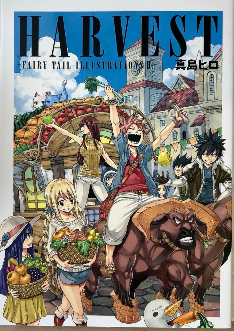 フェアリーテイル 特装版 ／Mashima HERO’S特装版 ＋ 画集 セット