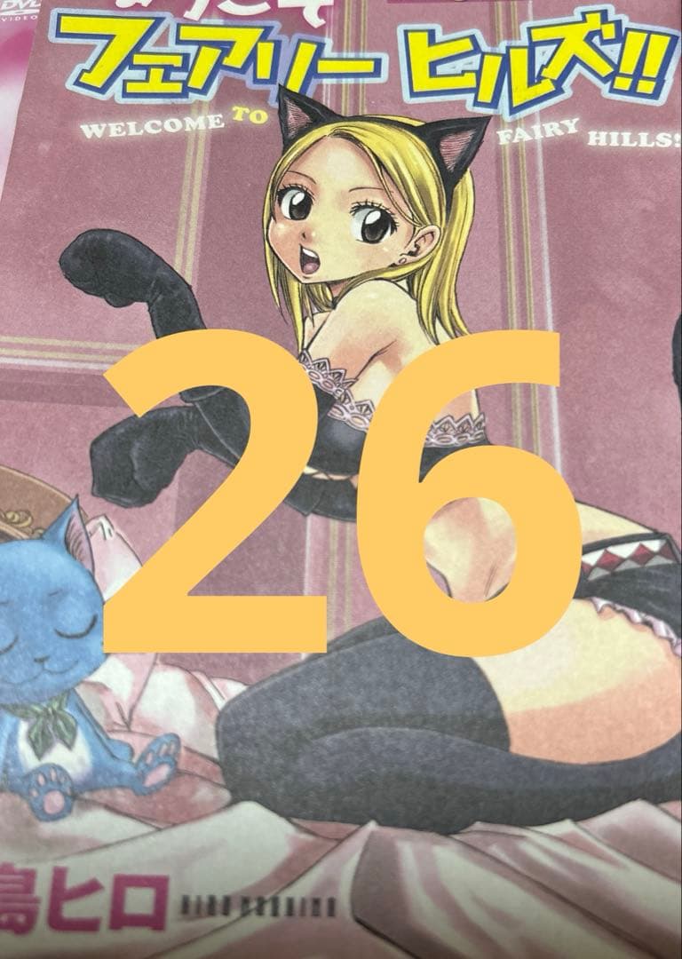 フェアリーテイル 特装版 ／Mashima HERO’S特装版 ＋ 画集 セット