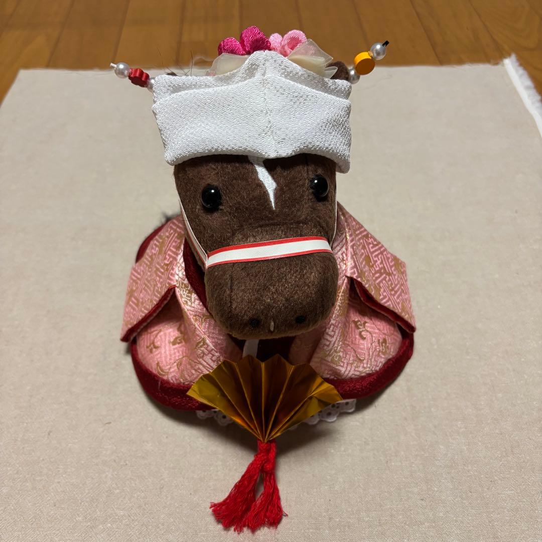 アイドルホース❣️ドレス❣️マント❣️