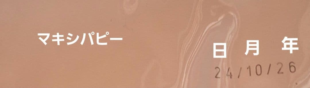 ロイヤルカナン　マキシパピー　16kg　CANIN 大型犬　子犬用