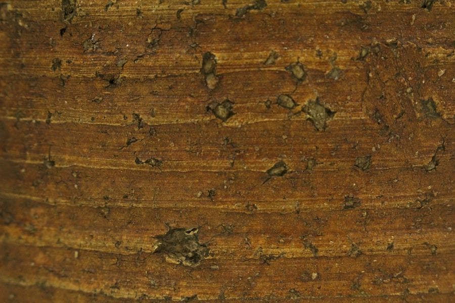 茶道具 古信楽 水指(ZE555)