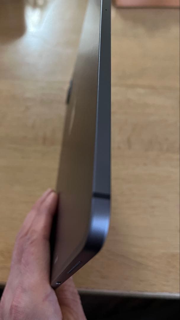 iPad Pro11インチ128GB（第2世代）cellular Pencil付