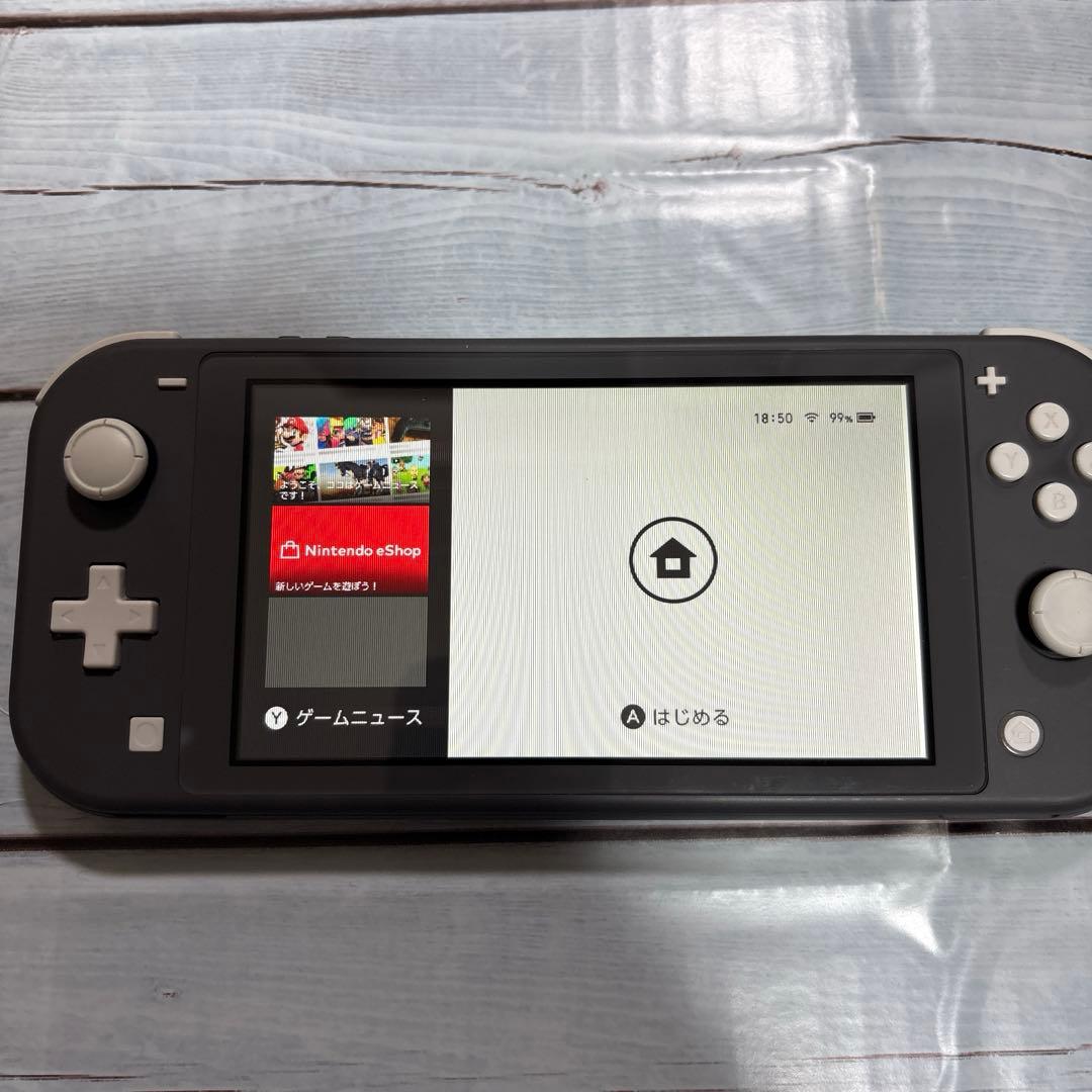 Switchライト本体のみ　グレー　液晶難あり　訳ありジャンク品