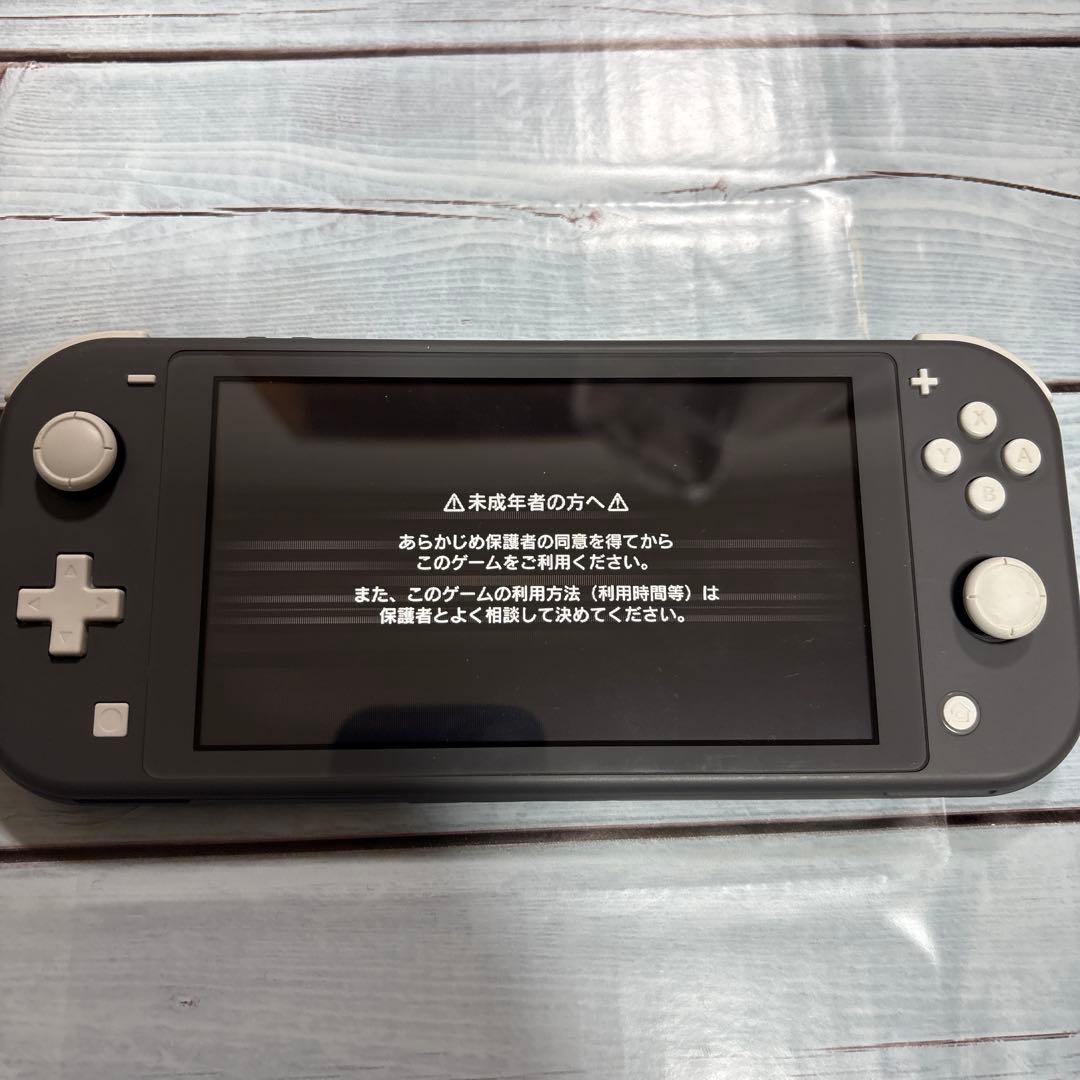 Switchライト本体のみ　グレー　液晶難あり　訳ありジャンク品