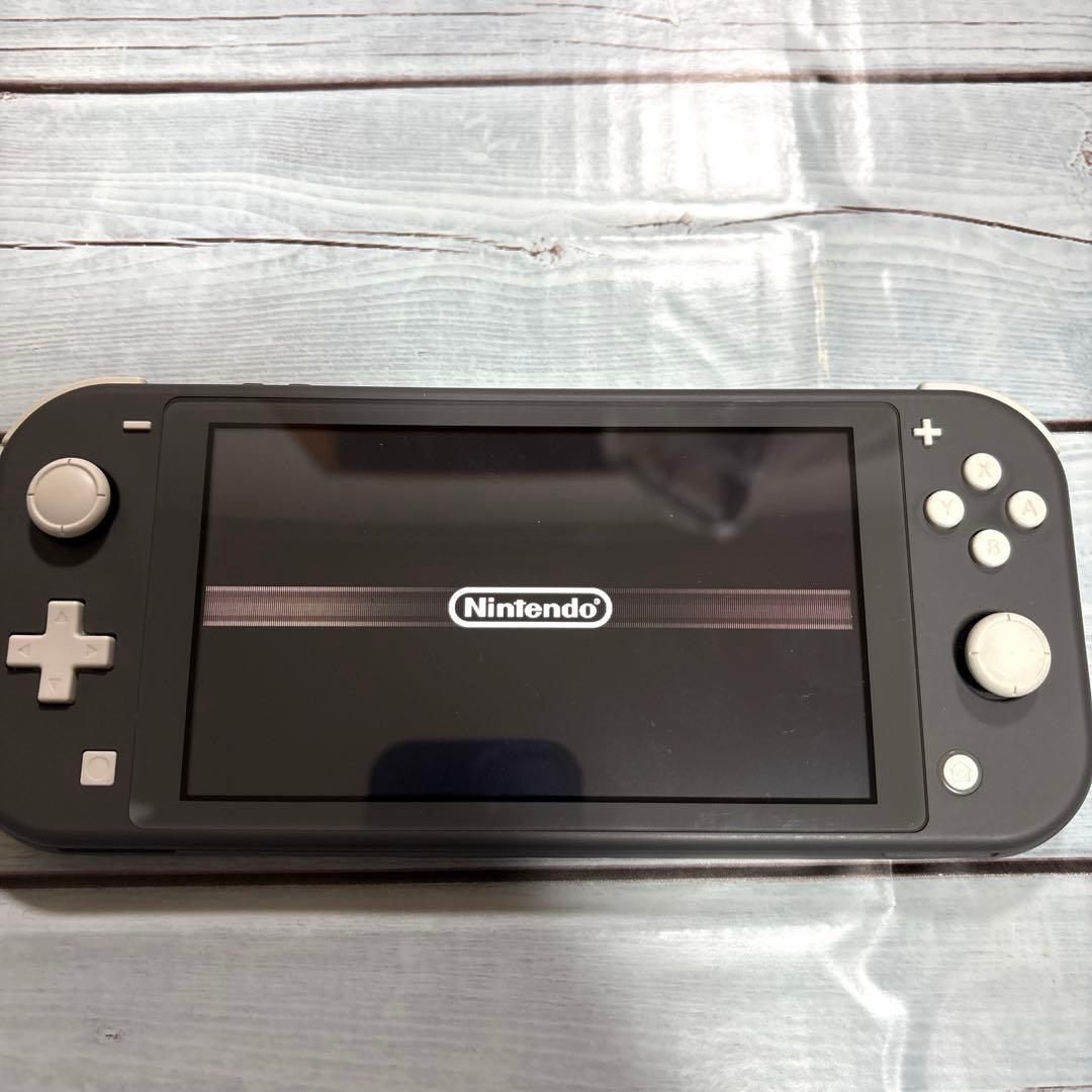 Switchライト本体のみ　グレー　液晶難あり　訳ありジャンク品