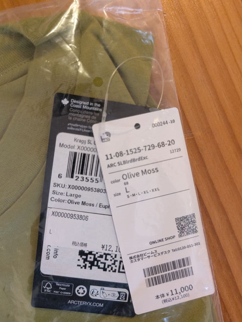 【新品】ARC’TERYX KRAGG SL BLURRED BIRD L