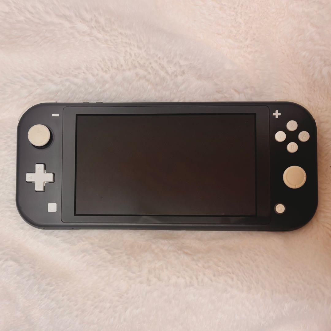 Nintendo Switch Lite 本体 ケース付き
