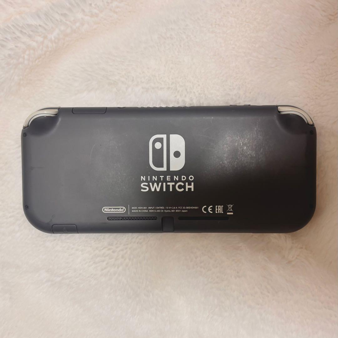 Nintendo Switch Lite 本体 ケース付き