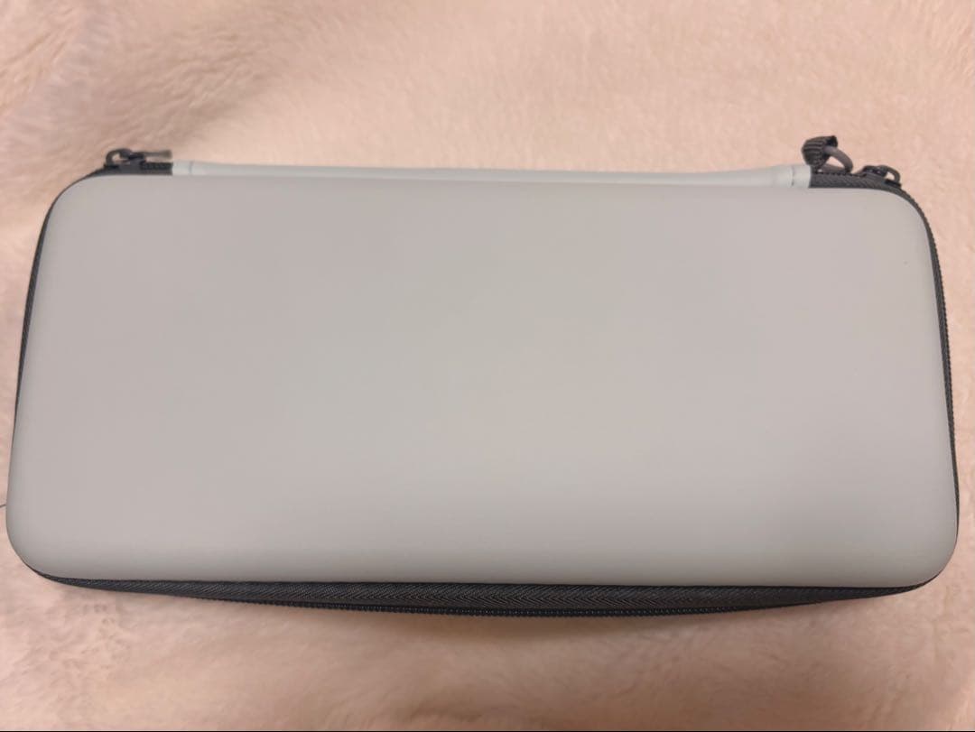 Nintendo Switch Lite 本体 ケース付き