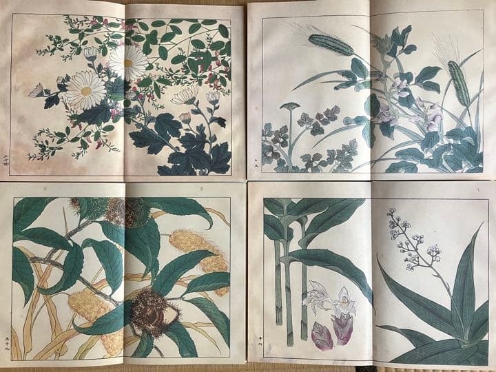 四季の花　復刻版　全10冊　はなてちょう4冊付