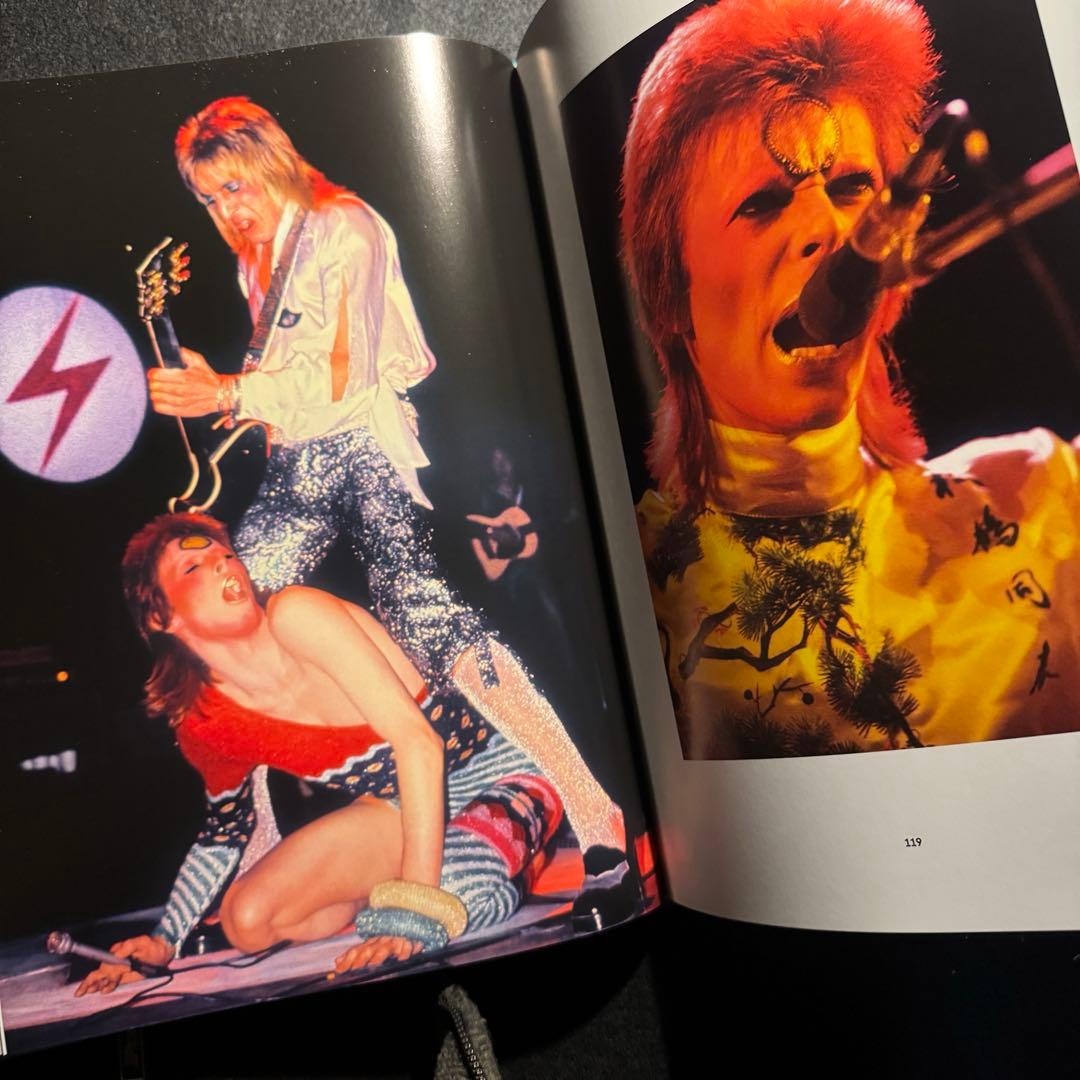 The Rise of David Bowie,デビッドボウイ