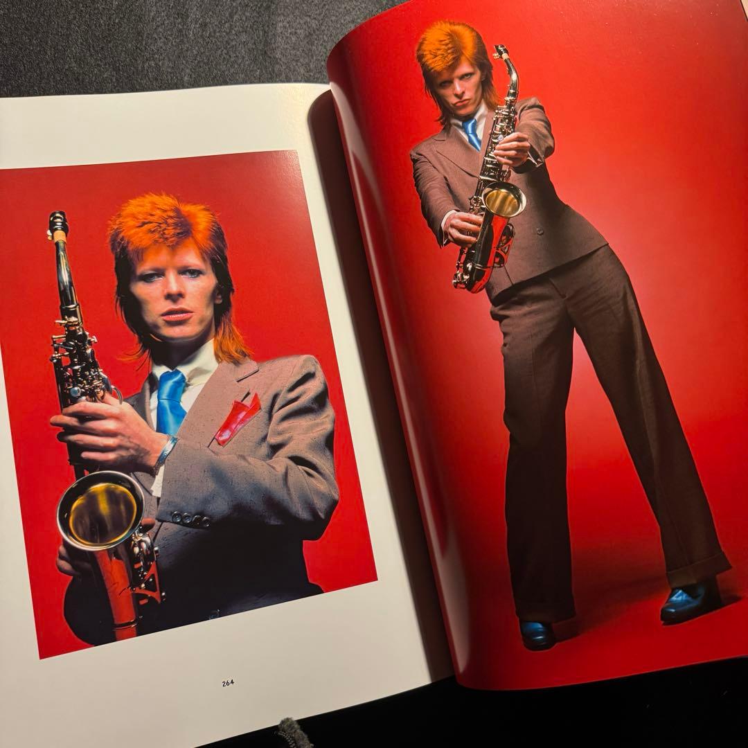 The Rise of David Bowie,デビッドボウイ