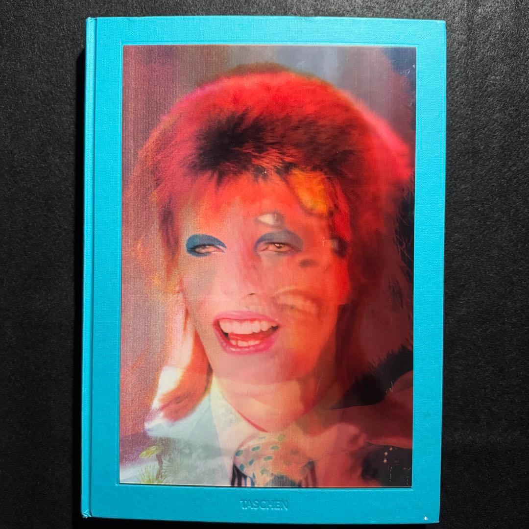 The Rise of David Bowie,デビッドボウイ