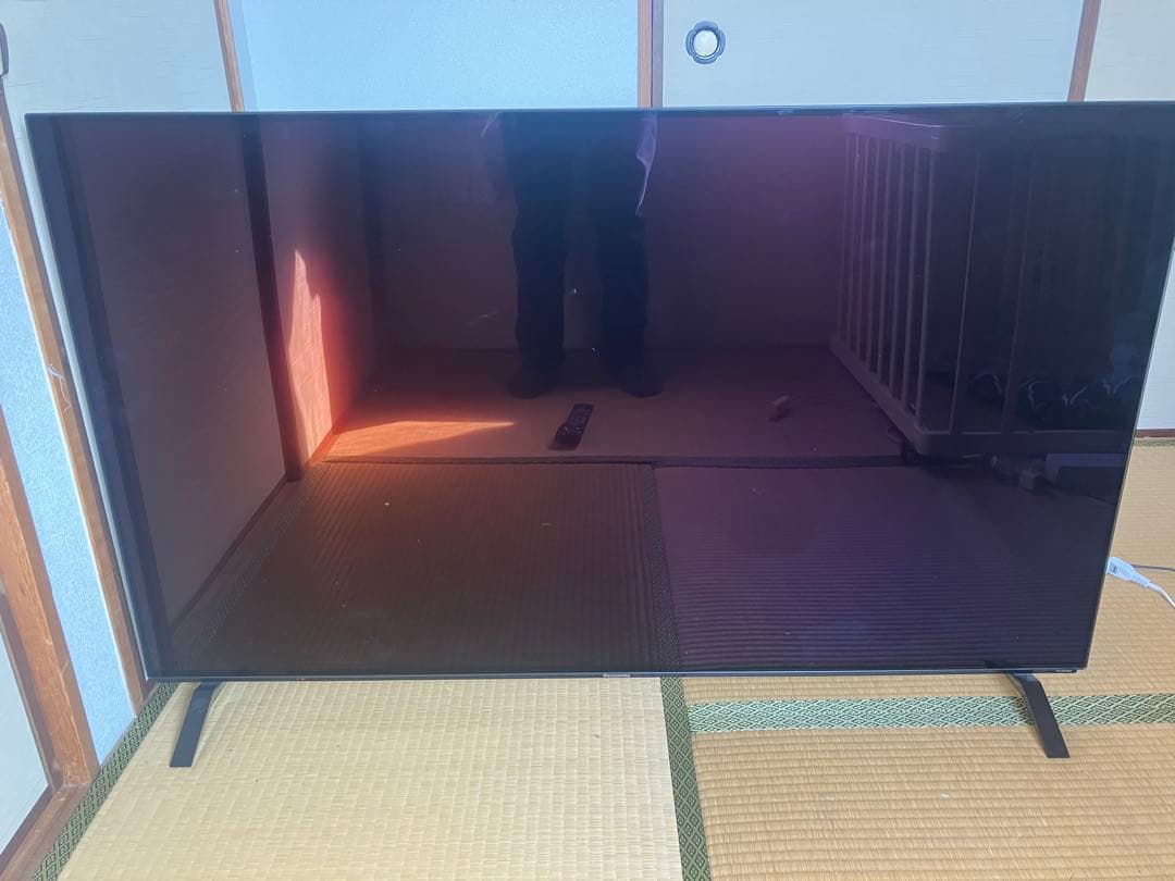 Panasonic パナソニック　有機EL テレビ　TH-55EZ950