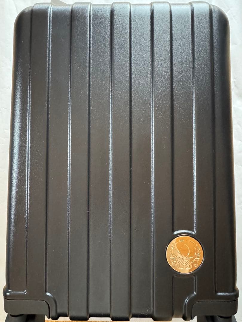 ディズニー アナ雪 アナ キャリーバッグ スーツケース しまむら ハッピーバッグ