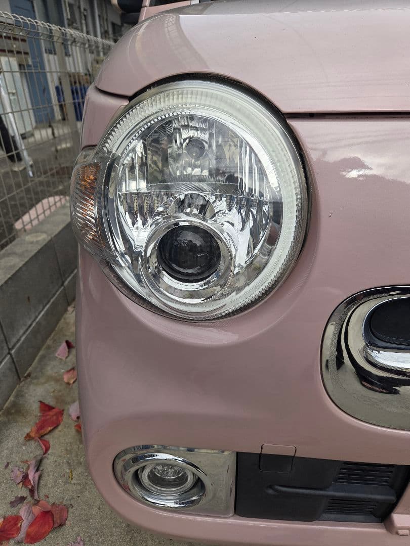 つば九郎2896出品