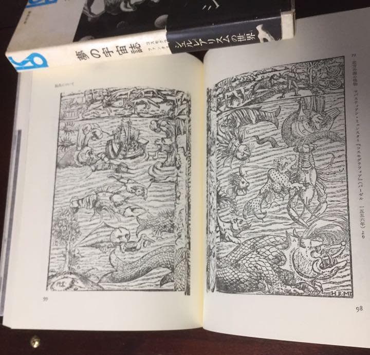 能登地震寄付　夢の宇宙誌　コスモグラフィア ファンタスティカ　澁澤龍彦　1964