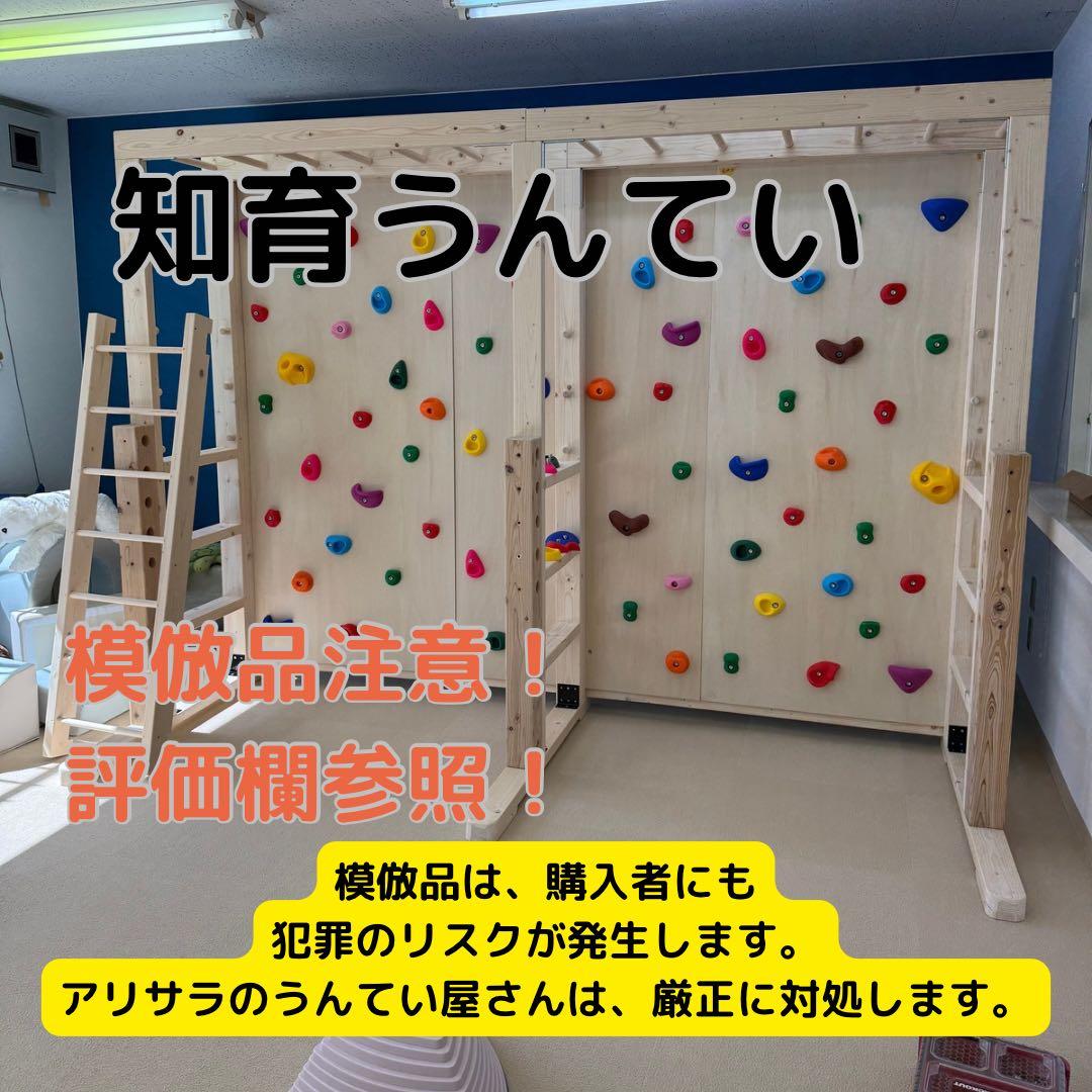 雲梯　うんてい　室内うんてい　ボルダリング