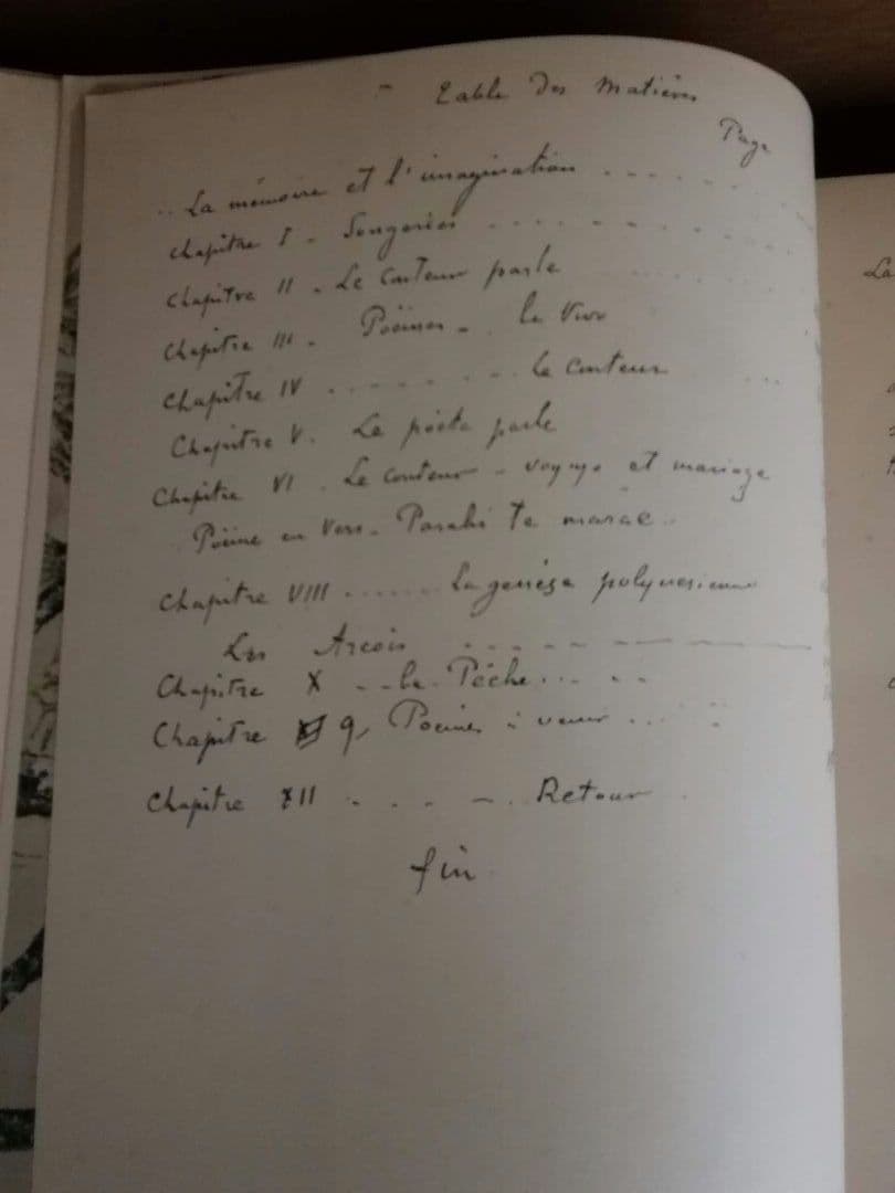 NOANOA VOYAGE DE TAHITI　ゴーギャン　ノアノア　タヒチの旅