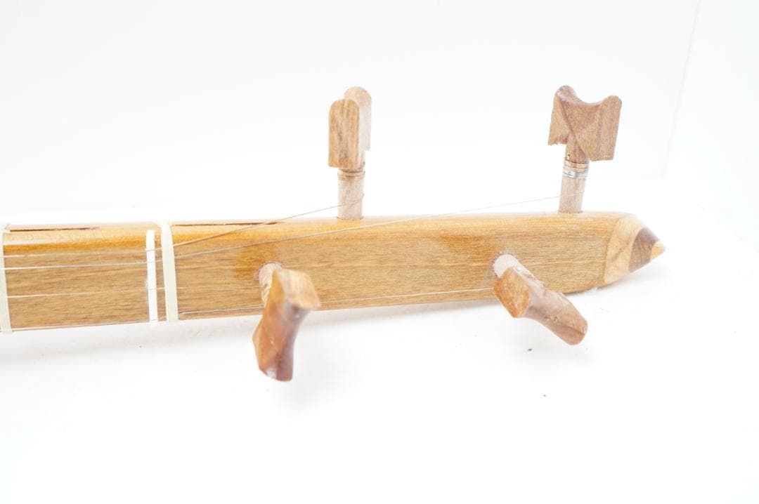 セタール　弦楽器　アジア　民族　リュート系