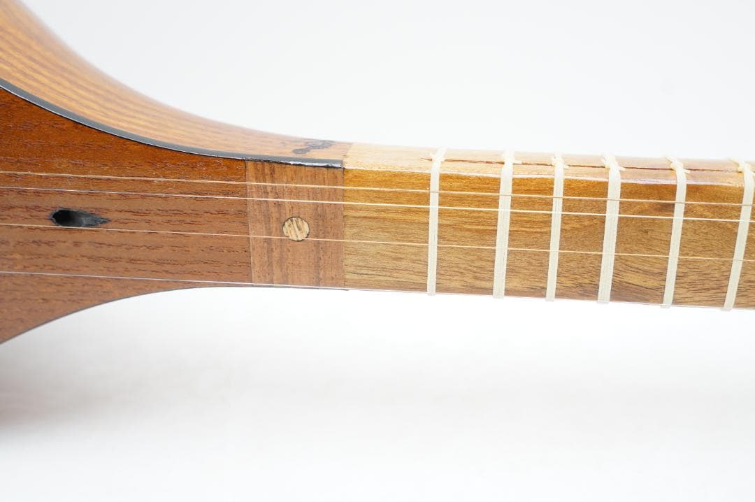 セタール　弦楽器　アジア　民族　リュート系