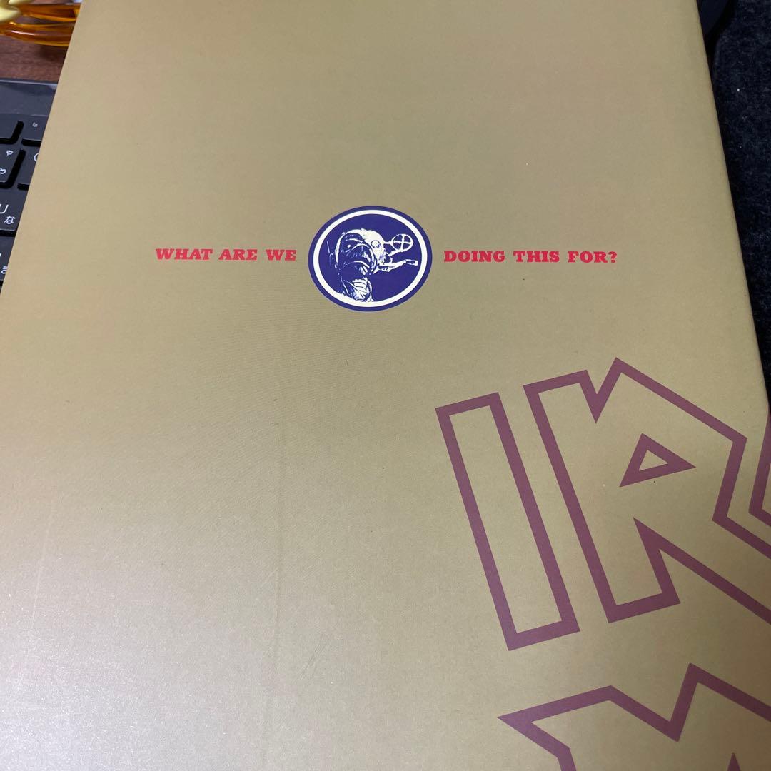 アイアン・メイデン:IRON MAIDEN WE DOING THIS FOR?