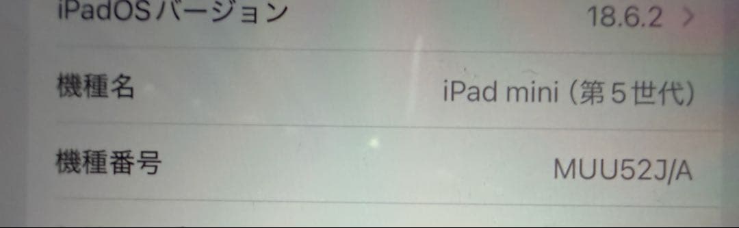 iPad mini 第5世代　256GB