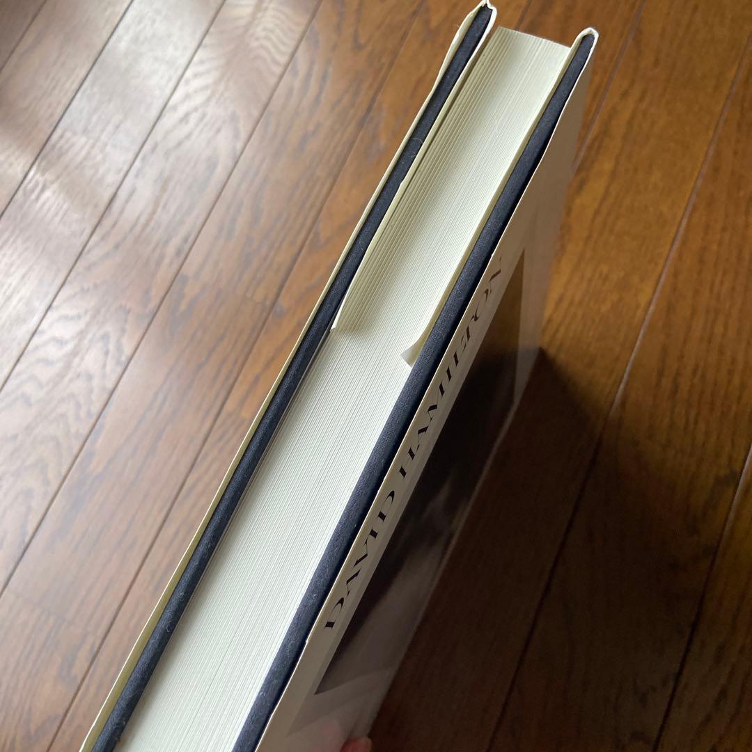 レア　洋書DAVID HAMILTON 写真集 TWENTY F…