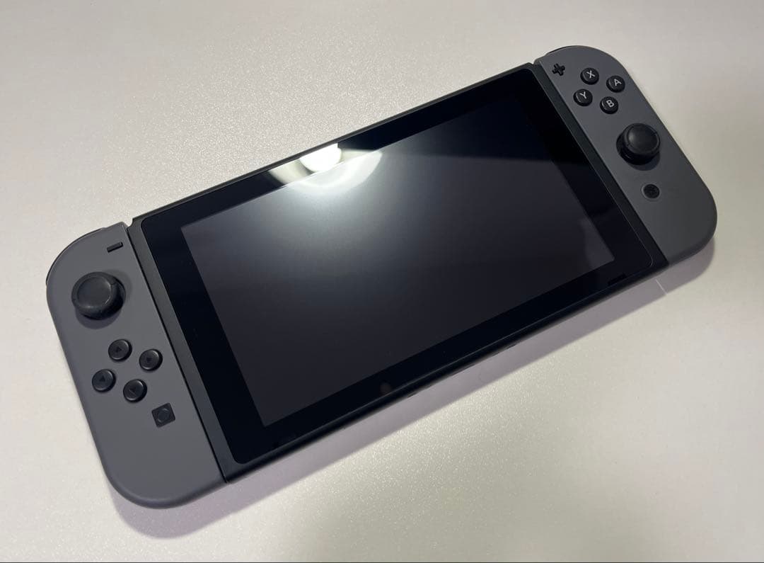 Nintendo Switch 本体 グレー + ケース付き