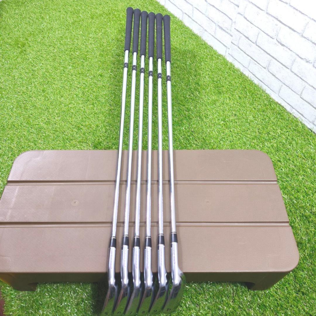 メンズ アイアン EON SPORTS 56789P 6本 FLEX-S