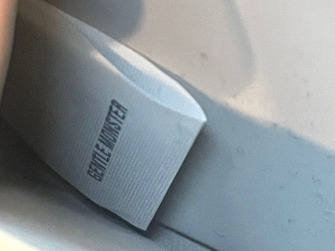 正規品　ジェントルモンスター　tote