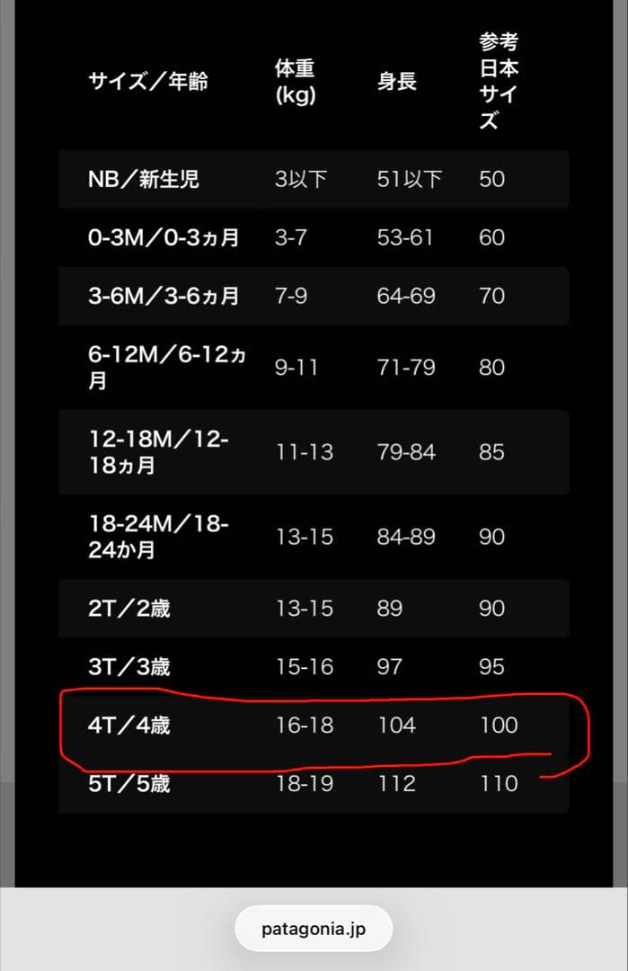 Patagonia フリースジャケット ブラウン