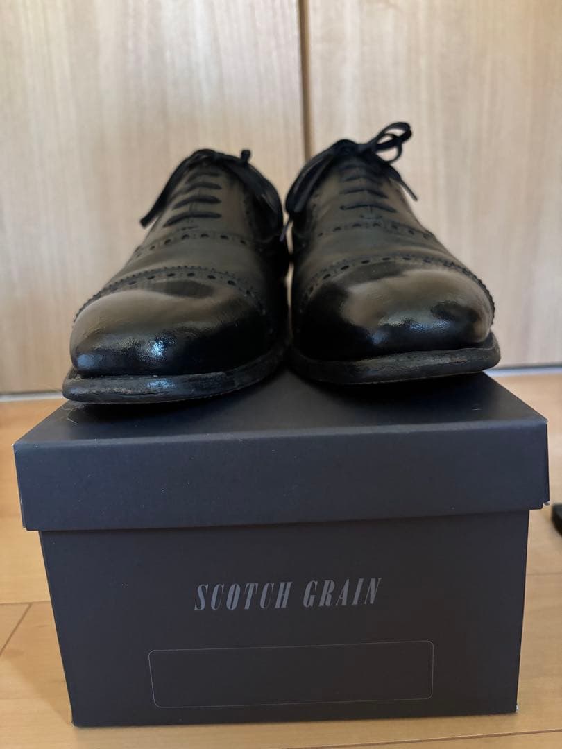 SCOTCH GRAIN パンチドキャップトゥ 03602