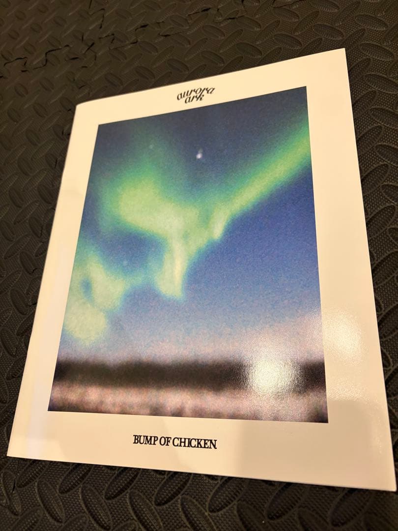BUMP OF CHICKEN aurora ark2019 グッズ多数付き