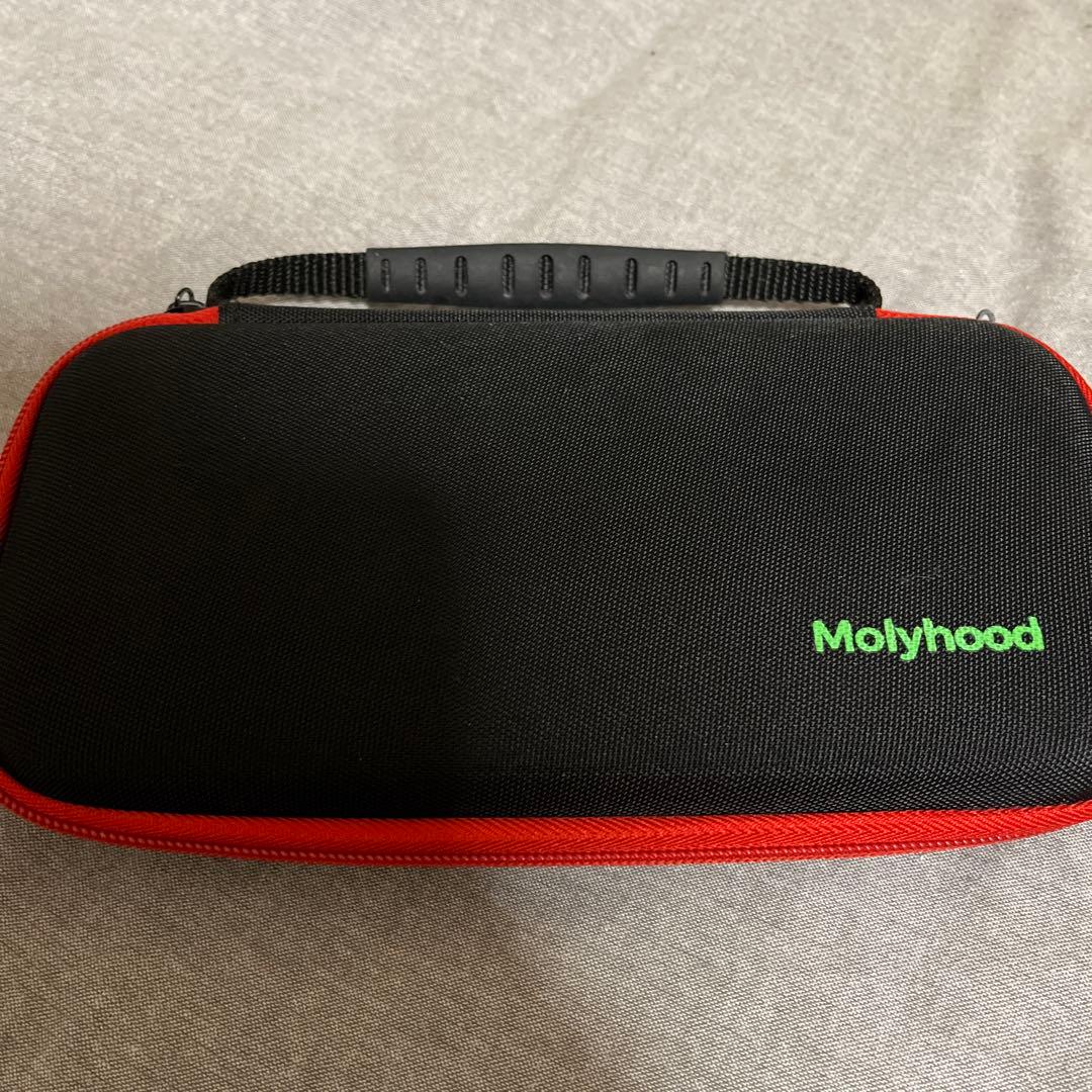 Switch Lite ターコイズブルー　コントローラー　モンハンライズ