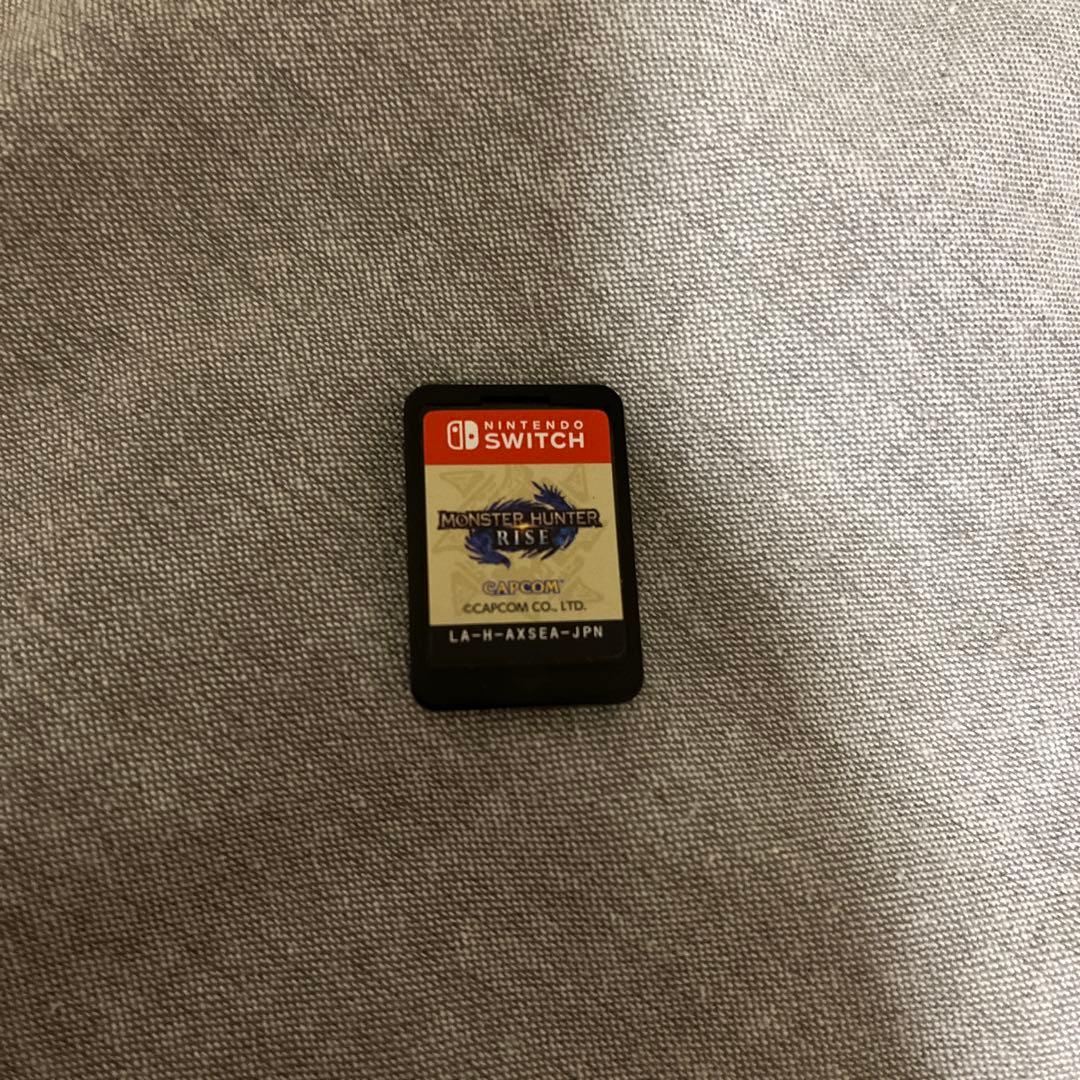 Switch Lite ターコイズブルー　コントローラー　モンハンライズ