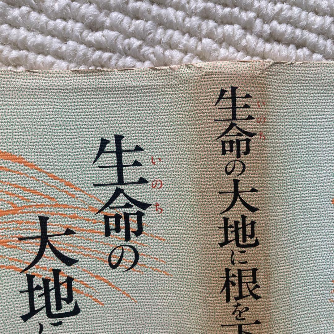 生命の大地に根を下ろし 親鸞の声を聞いた人たち/松本梶丸