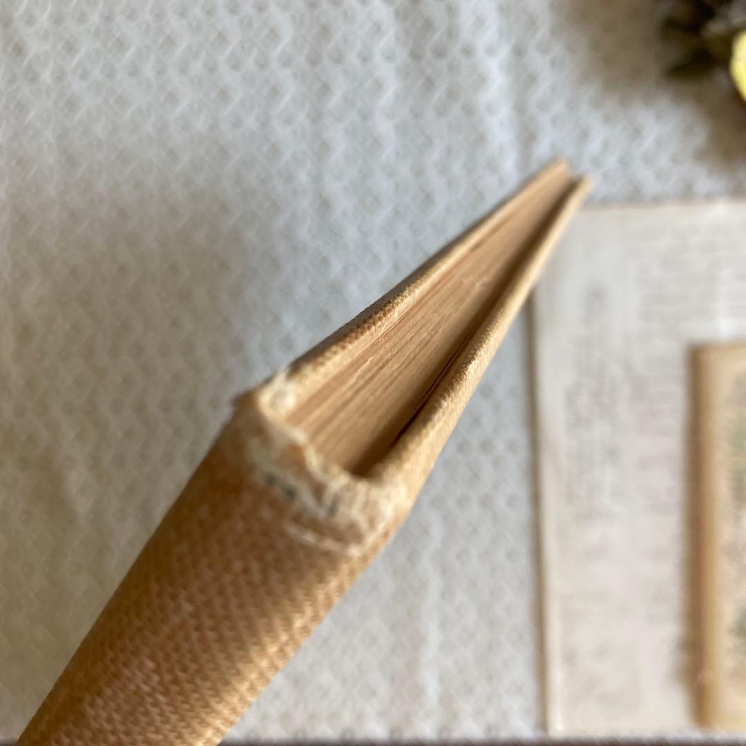 L915洋書古書 1916年発行 大変希少なエイナルネイマンの大型本