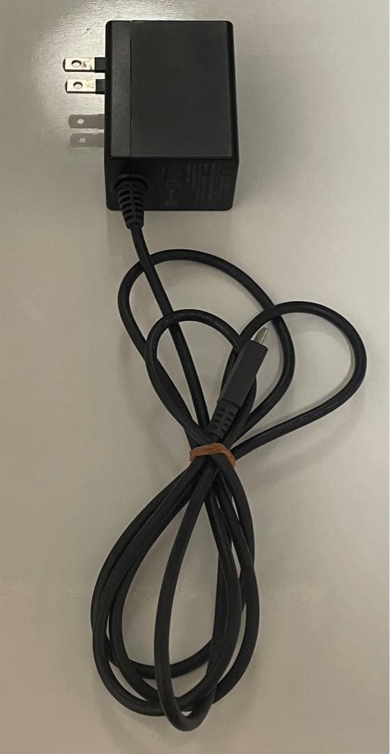 動作問題なし Nintendo Switch Lite 青色 充電器、ケース付き