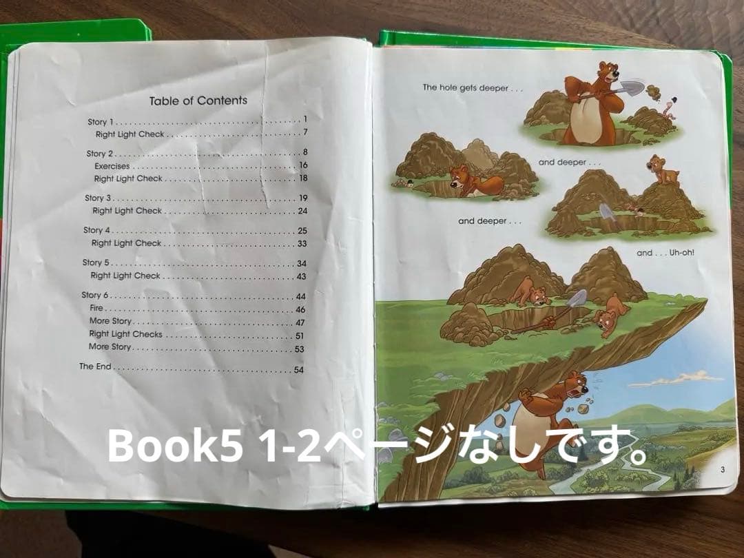 DWEメインプログラム絵本12冊　ライトライトペン2本