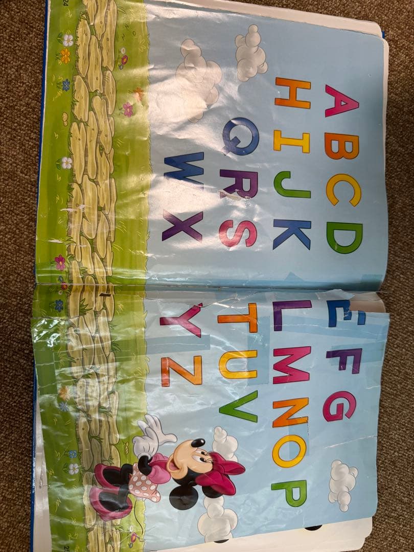 DWEメインプログラム絵本12冊　ライトライトペン2本