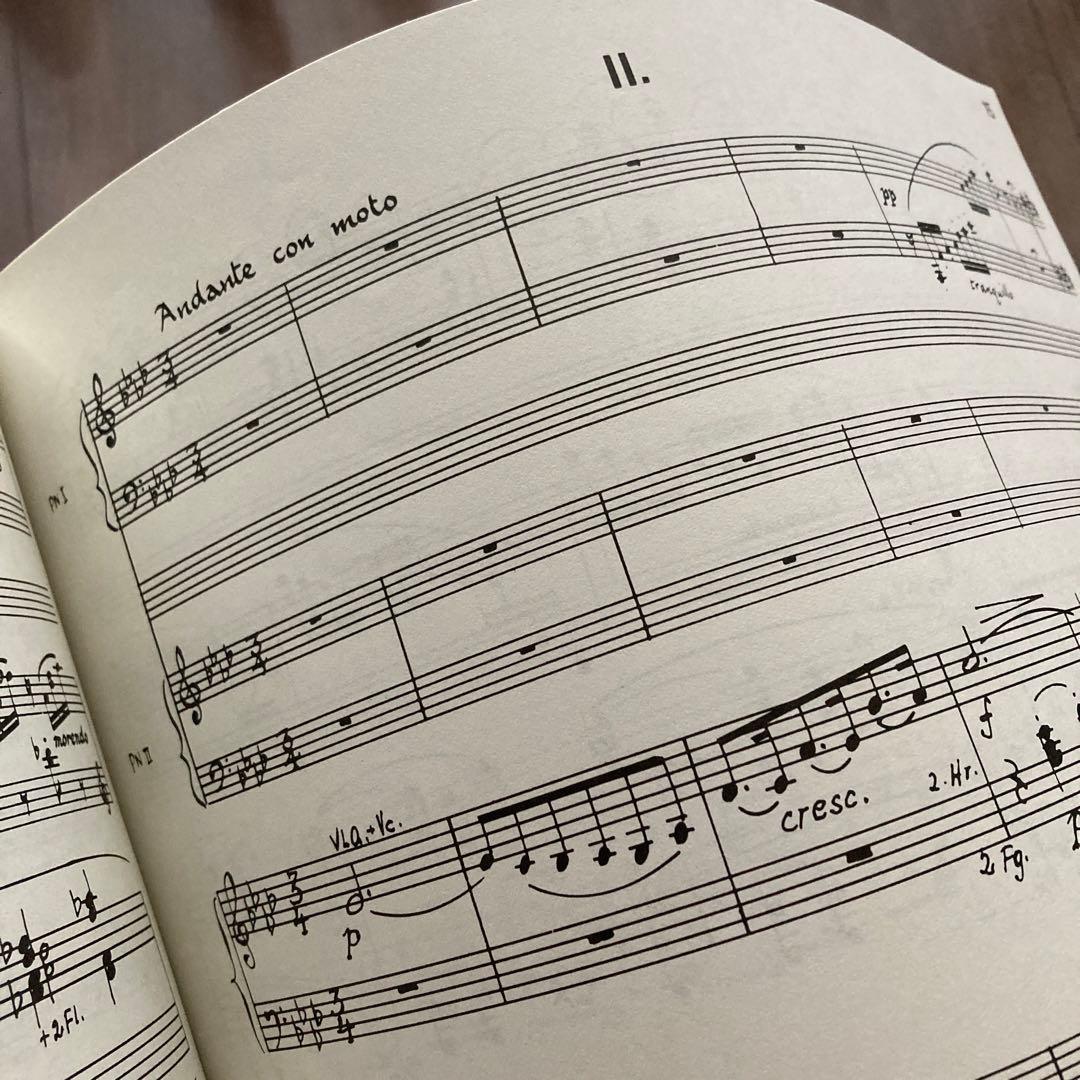 アート・デザイン・音楽 MAX BRUCH/ KONZERT Op.88a SIMROCK