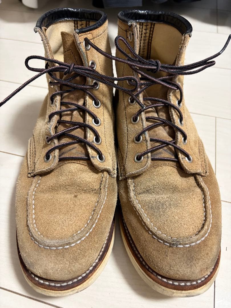 Red Wing 8173 犬タグ 8.5E