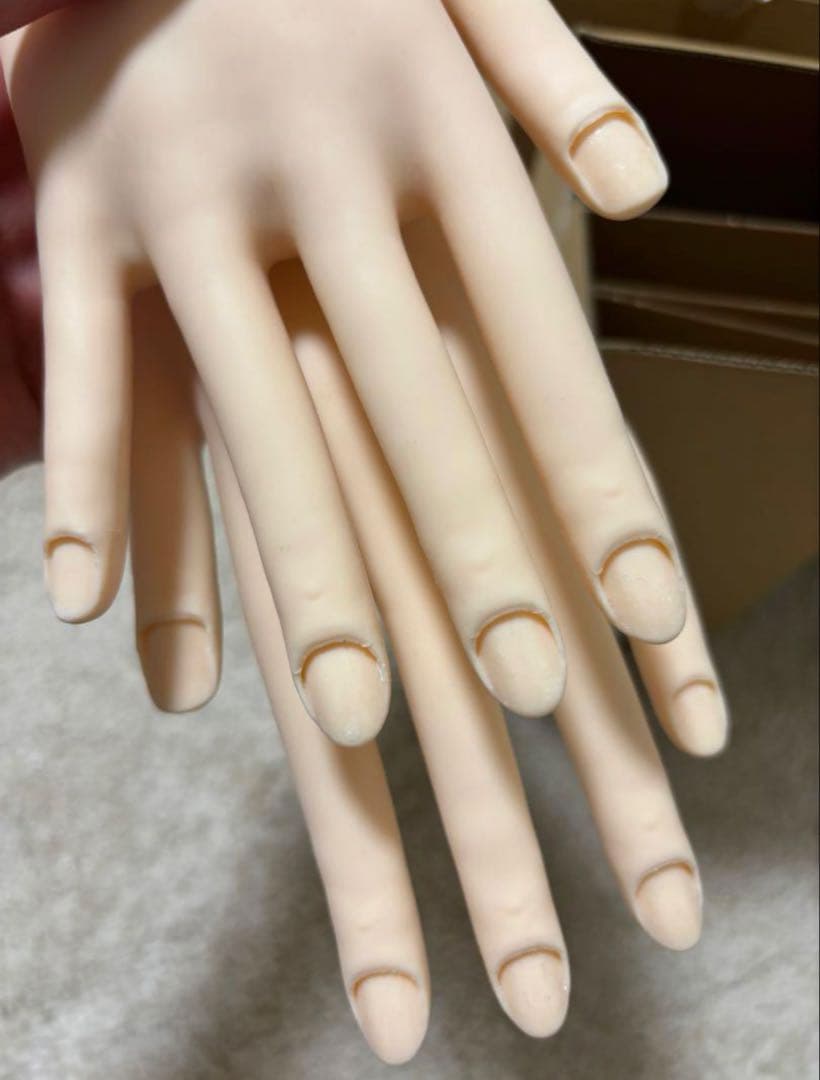 MODEL HAND 検定用