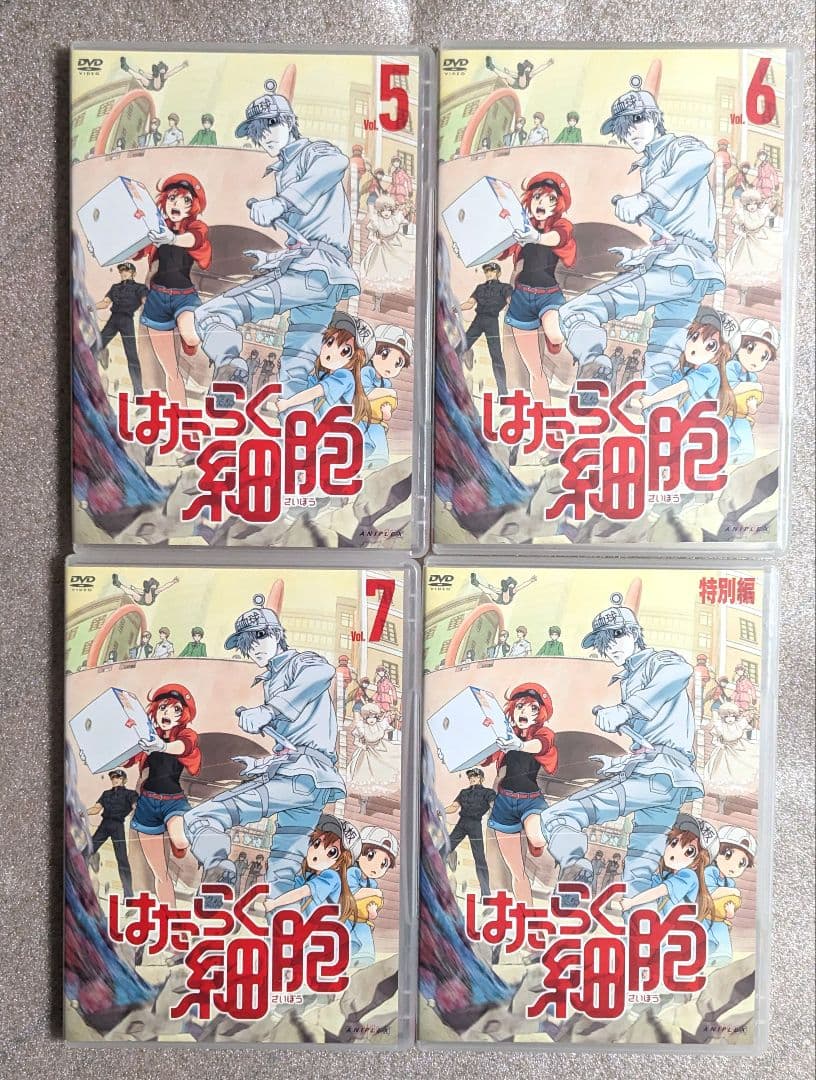 はたらく細胞　DVD　レンタル　アニメ　12本セット