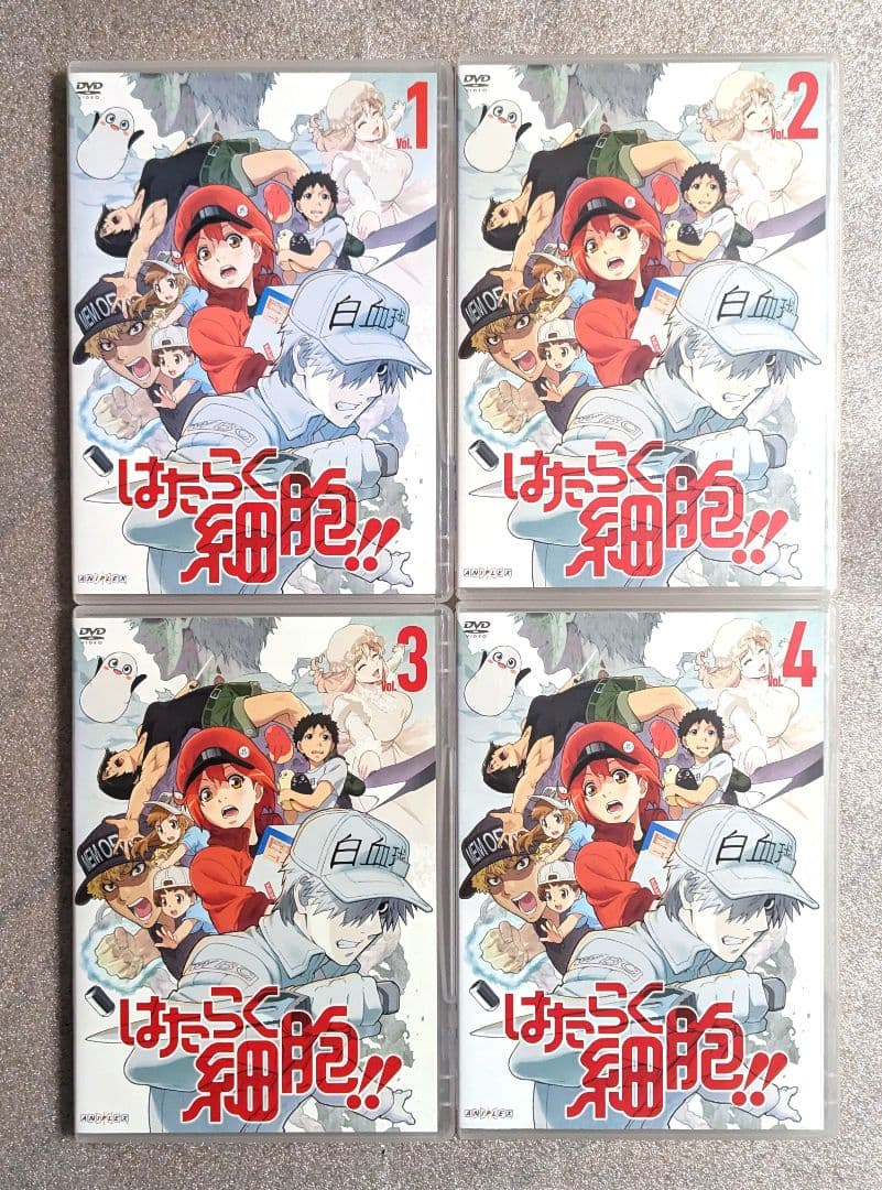 はたらく細胞　DVD　レンタル　アニメ　12本セット